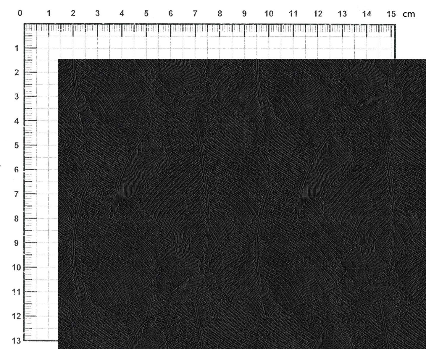 PAT00005_01A_000A