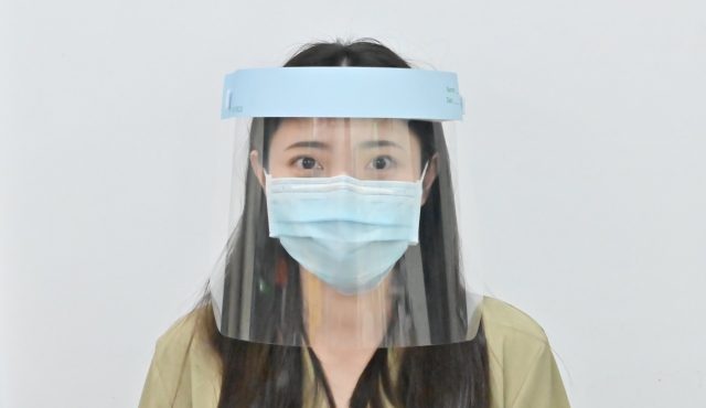 Face Shield Mask